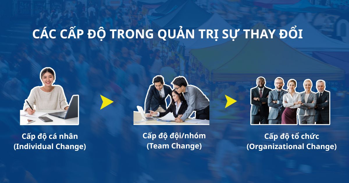 các cấp độ quản trị sự thay đổi